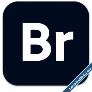 Adobe Bridge 2024 2024 PC | RePack by KpoJIuK-1.png