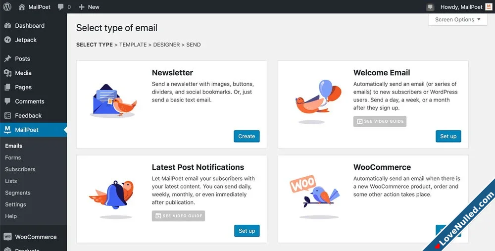 MailPoet Premium  Emails and newsletters in WordPress-3.webp