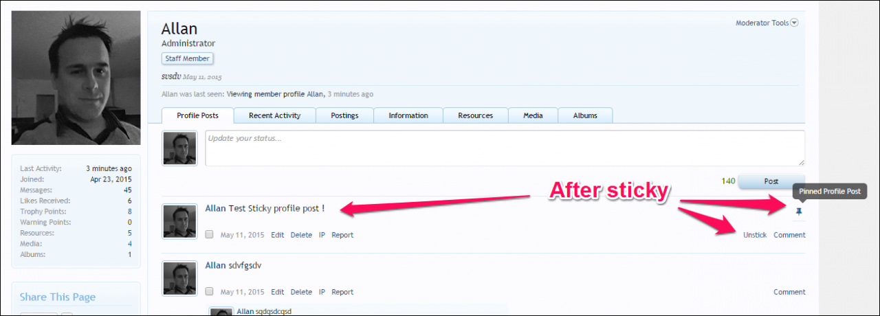 Sticky Profile Post  ThemesCorpcom 100-2.png