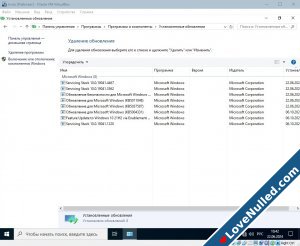 Windows 10 Enterprise 2021 LTSC Version 21H2 x64 Elgujakviso Edition Ru-5.jpg