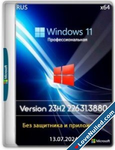 Windows 11 Pro 23h2 226313880 without defender and applications-1.jpg