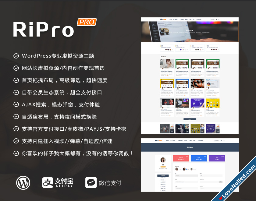 wp_theme_ripro_screenshot.png