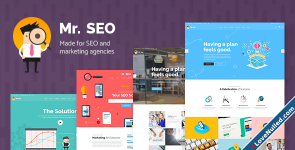 Mr. SEO - A Friendly SEO, Marketing Agency