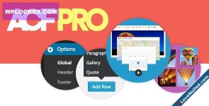 Advanced Custom Fields Pro