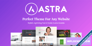 Astra Pro Addon – Perfect Theme For Any Website