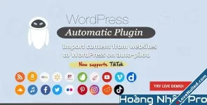 WordPress Automatic Plugin