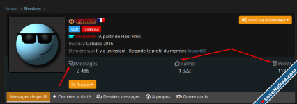 Add FA icons in member profile (extra.less)