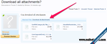 Brivium - Download All Attachments - Xenforo 1